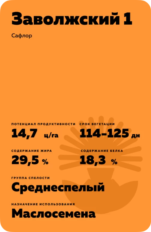 Заволжский 1