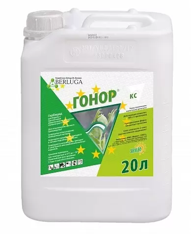 Гонор, КС