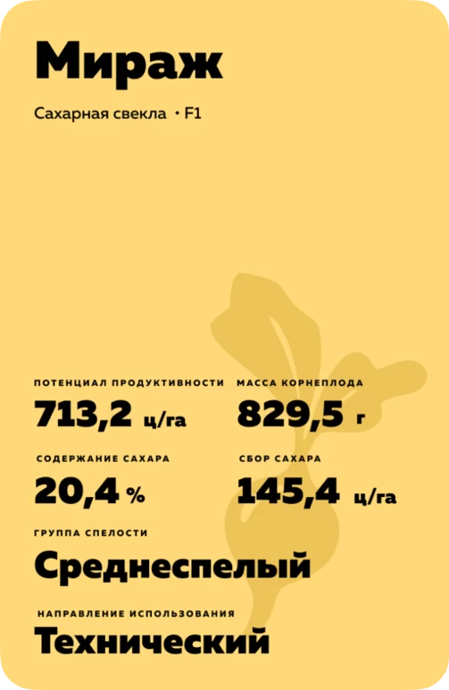 Мираж