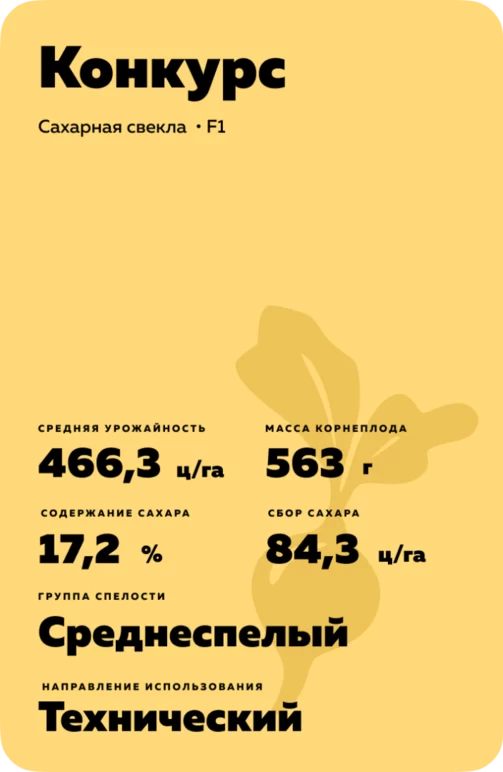 Конкурс гибрид сахарной свеклы