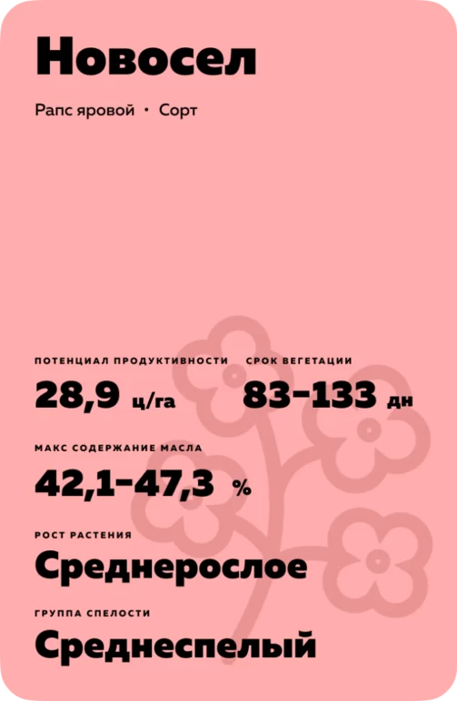 Новосел