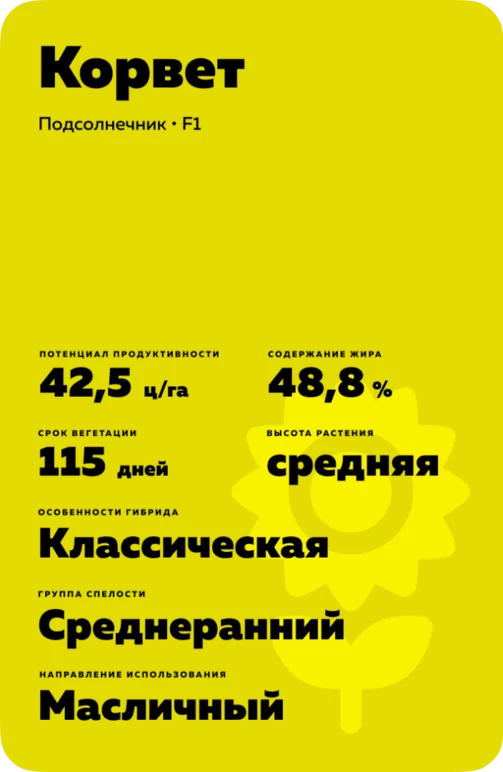 Корвет