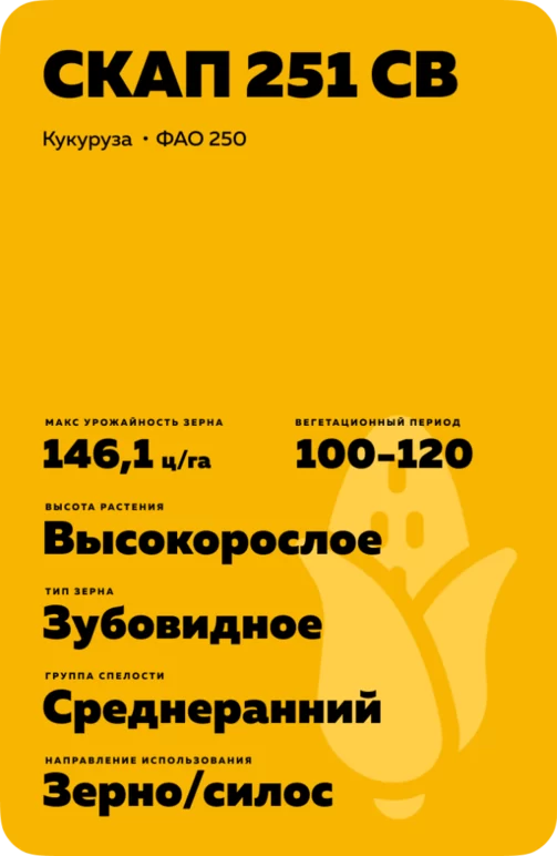 СКАП 251 СВ гибрид кукурузы