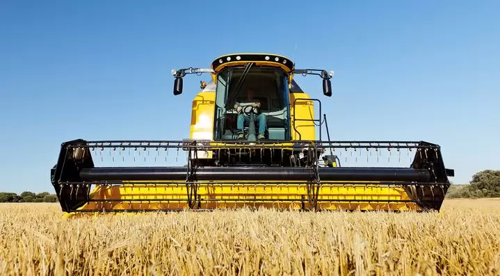 Россия может не достичь запланированного показателя по урожаю зерна и экспорту