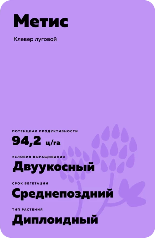 Метис (METIS)