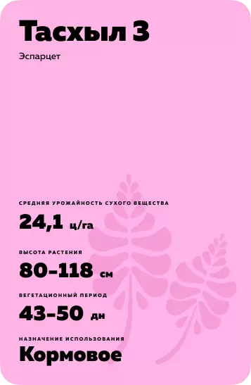 Тасхыл 3