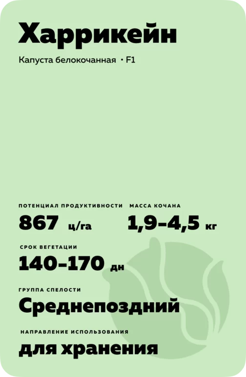 Харрикейн гибрид капусты белокочанной