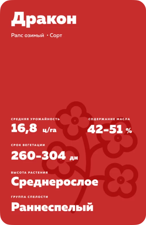 Дракон рапс озимый