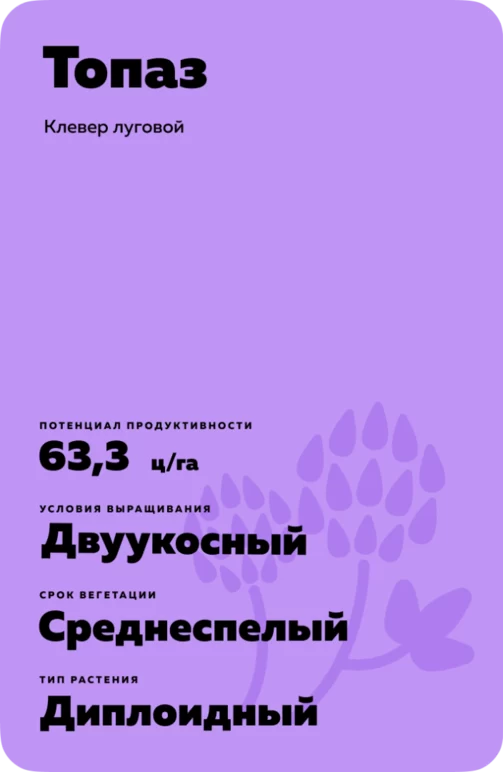 Топаз - клевер луговой. Характеристики и отзывы