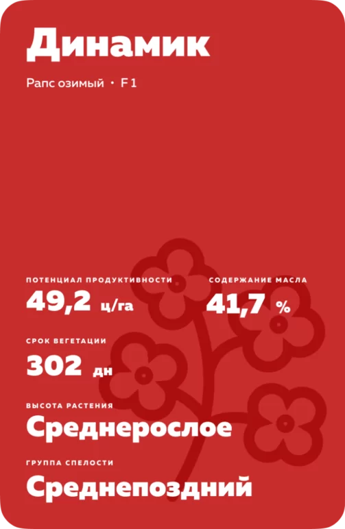 Динамик (DYNAMIC) рапс озимый