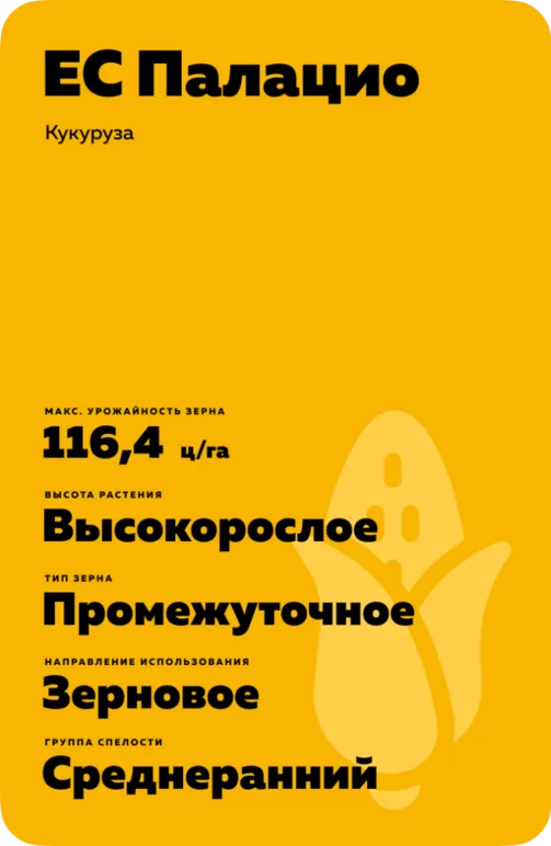 ЕС Палацио (ES PALAZZO)