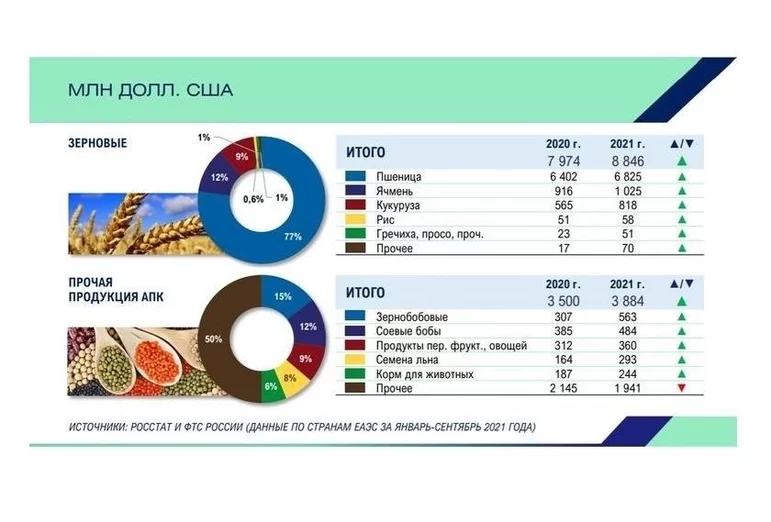 Экспорт зерна (2022 год)