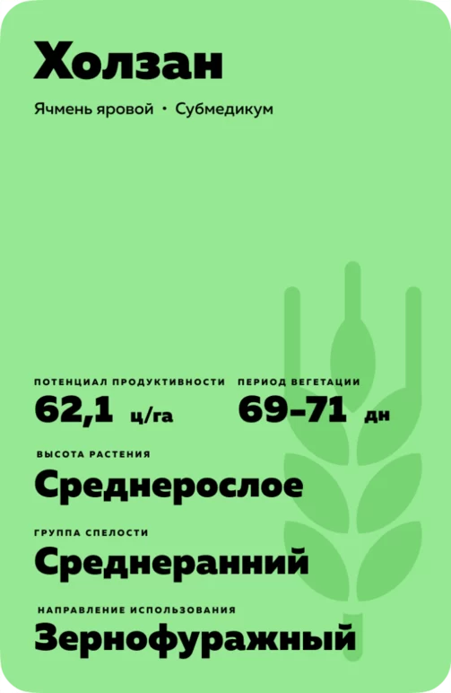 Холзан