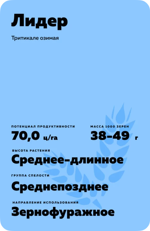 Лидер