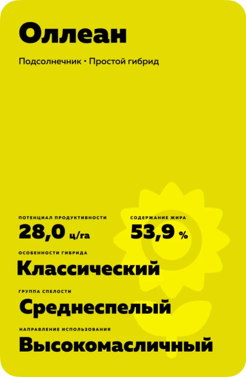 Оллеан