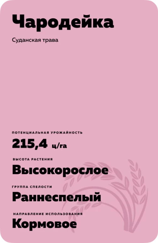 Чародейка