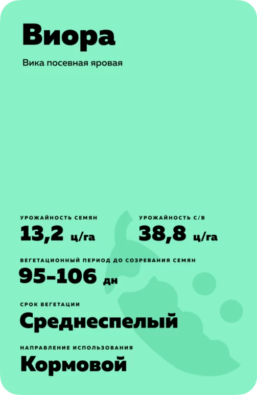Виора