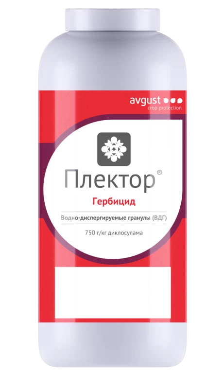 Плектор, ВДГ