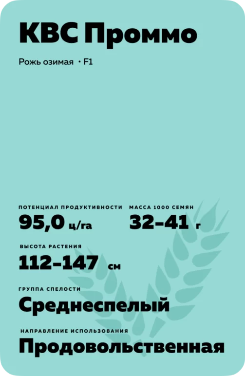 КВС Проммо (KWS PROMMO) рожь озимая