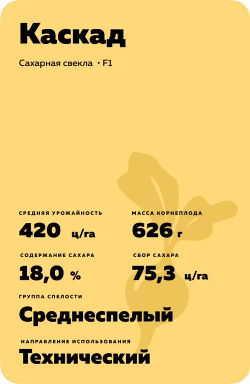 Каскад