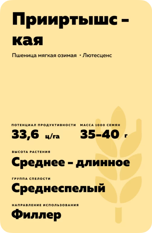 Прииртышская  сорт мягкой озимой пшеницы