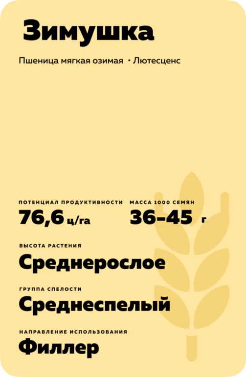 Зимушка