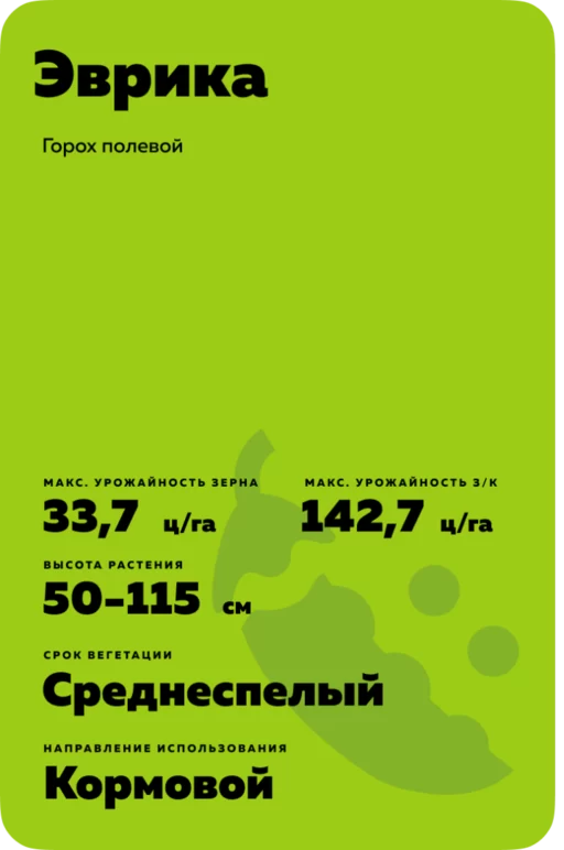 Эврика - горох полевой (пелюшка). Характеристики и отзывы