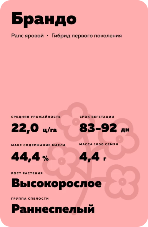 Брандо (BRANDO) рапс яровой