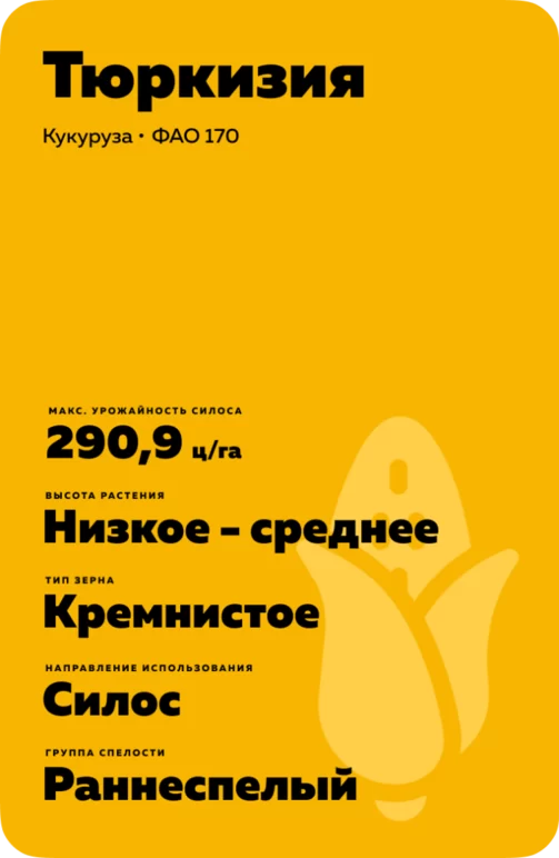 Тюркизия - кукуруза. Характеристики и отзывы