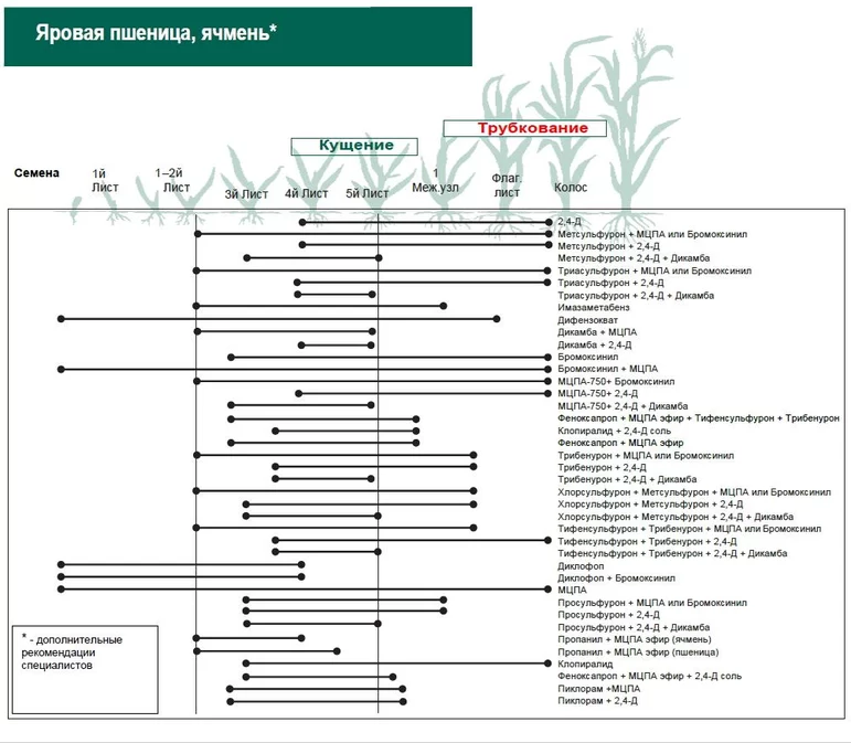 Применение гербицидов на пшенице и ячмене