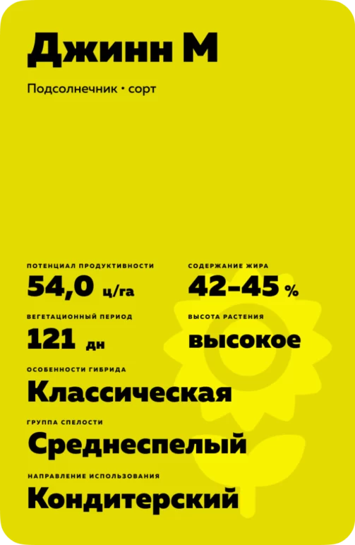 Джинн М
