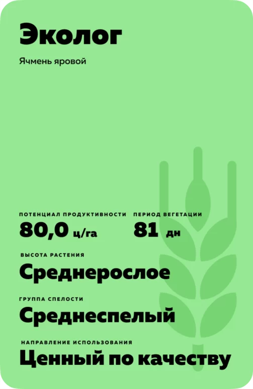 Эколог сорт ячменя ярового