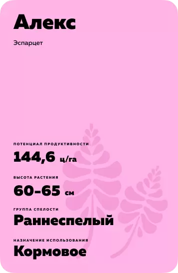 Алекс