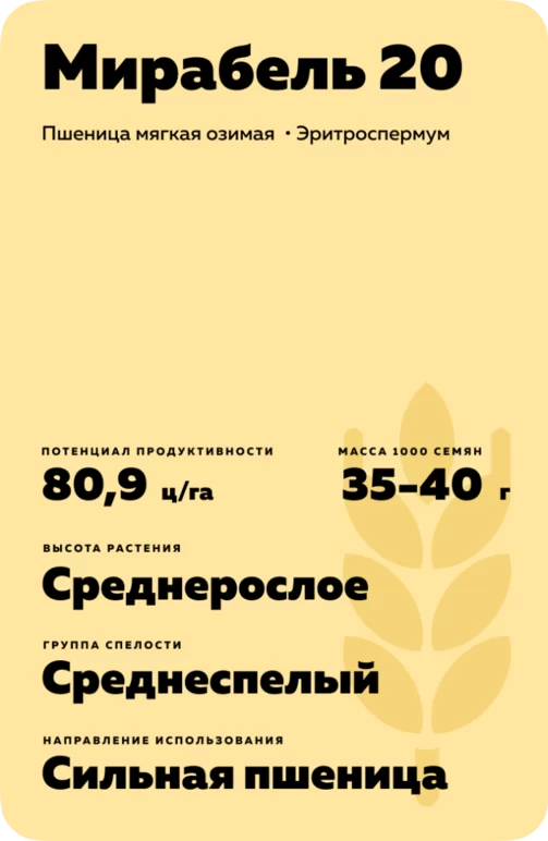 Мирабель 20