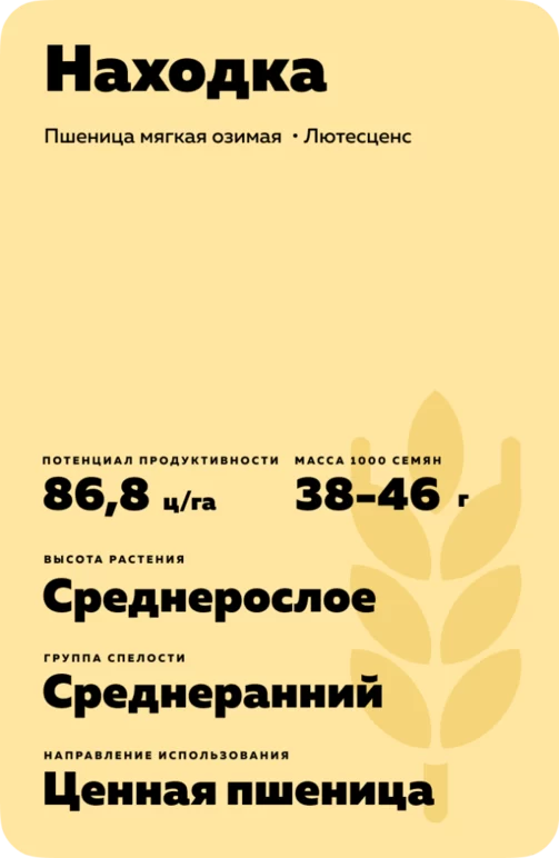 Находка