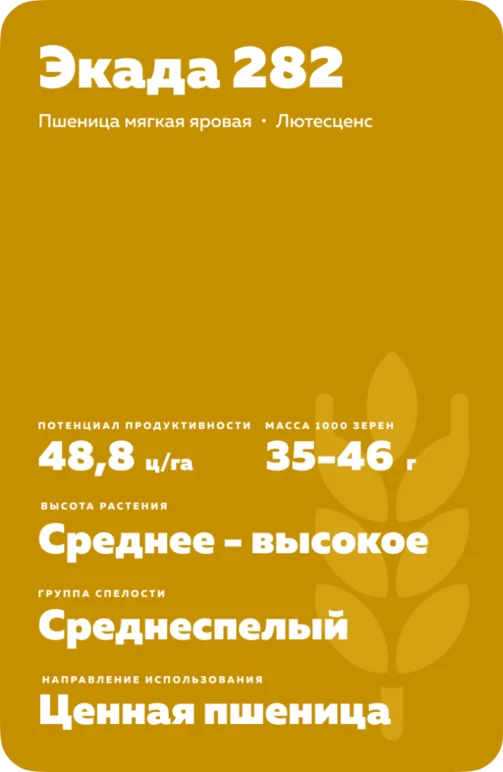 Экада 282