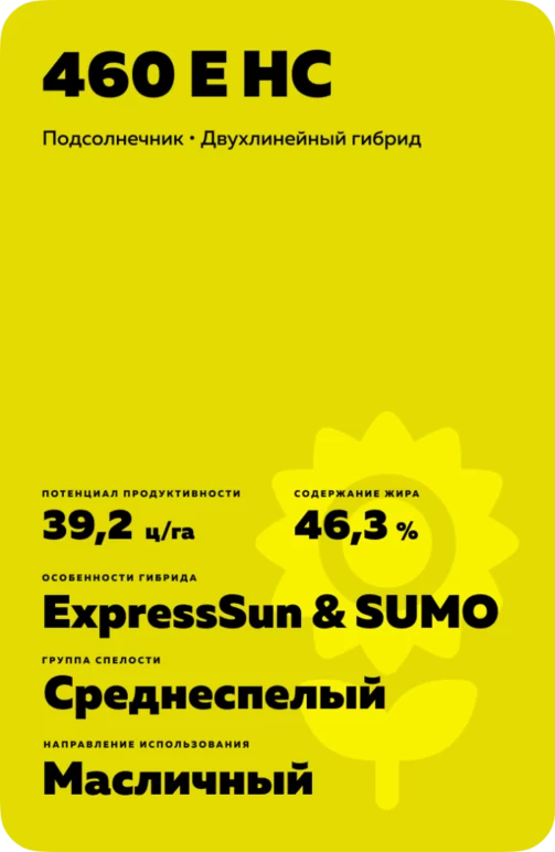 460 Е НС гибрид подсолнечника