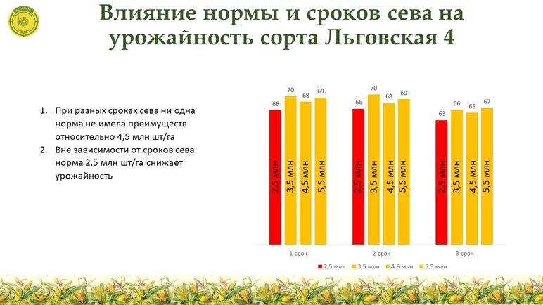 Влияние норм высева и сроков сева на урожайность озимой пшеницы в ЦЧР 2021г