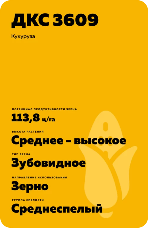 ДКС 3609 - кукуруза. Характеристики и отзывы
