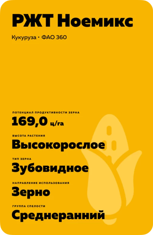 РЖТ Ноемикс гибрид кукурузы