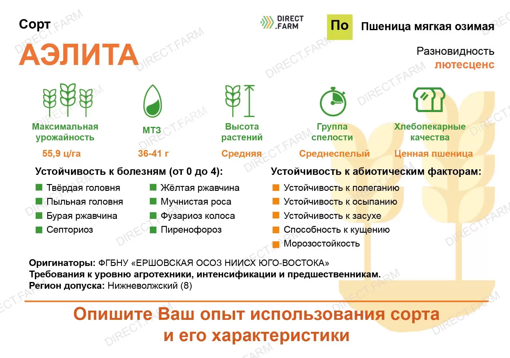 Аэлита ® - пшеница мягкая озимая. Характеристики и отзывы