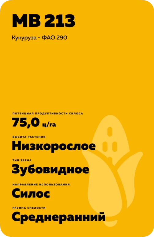 МВ 213 гибрид кукурузы