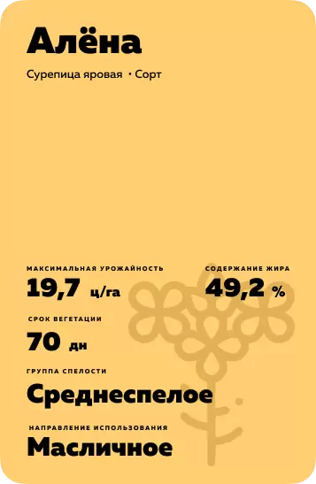 Алёна