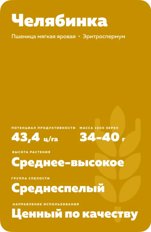 Челябинка