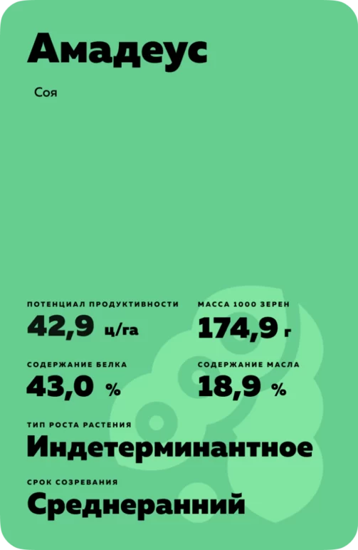 Амадеус
