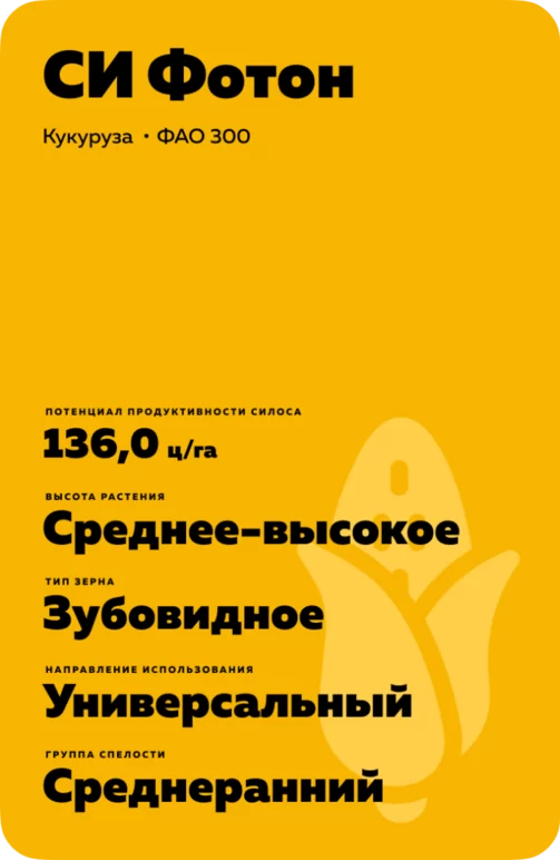 СИ Фотон (SY FOTON) гибрид кукурузы