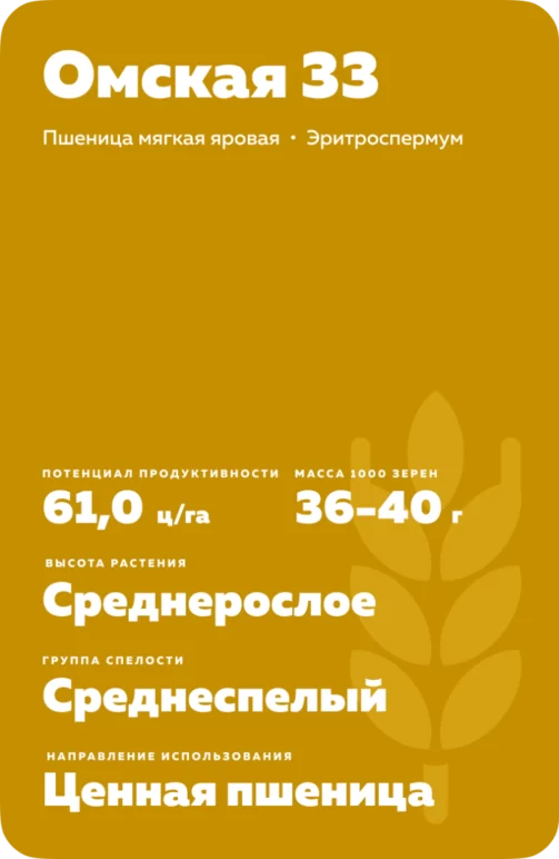 Омская 33