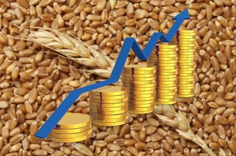 Рост котировок пшеницы на мировых биржах