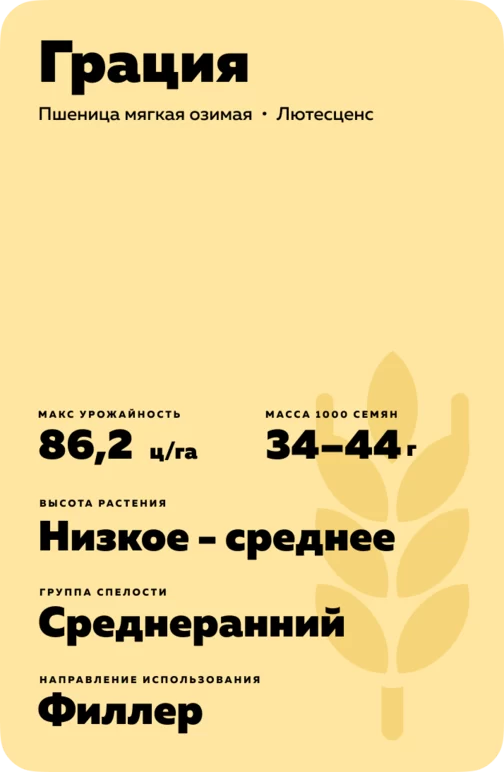 Грация сорт мягкой озимой пшеницы
