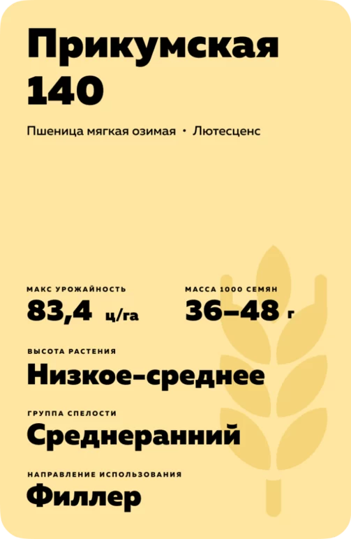 Прикумская 140